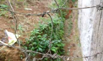 Imagem 3: TERRENO RESIDENCIAL em COTIA - SP, JARDIM SANDRA