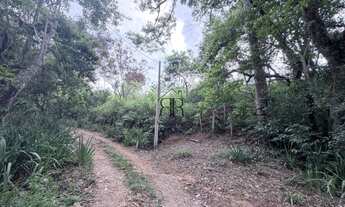 Imagem 7: AREA RURAL em Pinhalzinho - SP, Pinhalzinho