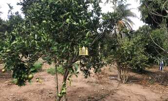 Imagem: Sitio no bairro Caracois - Esmeraldas