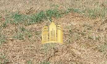 Imagem 2: Excelente Terreno à Venda no Condomínio Nova Andiroba - Esmeraldas