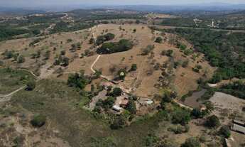 Imagem 3: Fazenda à Venda no Riacho, Esmeraldas - 50 Hectares com Casa Sede e Estrutura Completa