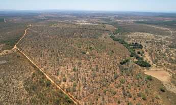 Imagem: Venda de Fazenda em Morro da Garça - 271,11