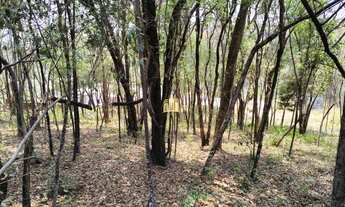 Imagem 5: Chácara de 10.000 m² à Venda no Condomínio Turmalinas em Esmeraldas - R$ 900.000