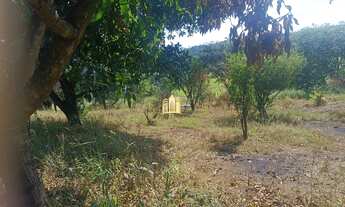 Imagem: Sítio à Venda Condomínio Sete Lagos