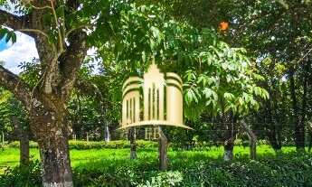 Imagem: Lote de 1.462m² à Venda no Condomínio