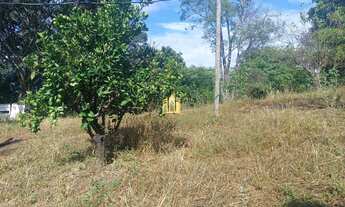 Imagem 7: Sítio à Venda Condomínio Sete Lagos: 3 Casas, 6 Quartos e Pomar!