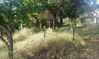 Imagem 6: Sítio à Venda Condomínio Sete Lagos: 3 Casas, 6 Quartos e Pomar!