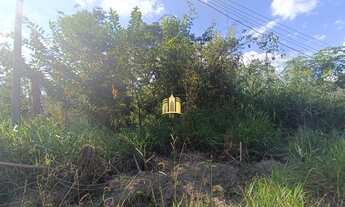 Imagem: Lote 360m² à Venda no Bairro Maceió