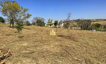 Imagem: Lote 5000m² Plano, Elevado, Cercado, com