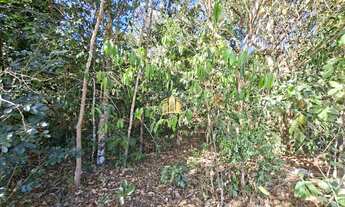 Imagem: Terreno 4 Hectares Plano Esmeraldas Rural