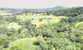 Imagem: Fazenda Caio Martins 34,5 ha com Casa