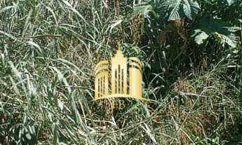 Imagem: Terreno à Venda em Fernão Dias 450m²