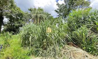 Imagem 4: Lote à Venda - Solar das Palmeiras (1800m²