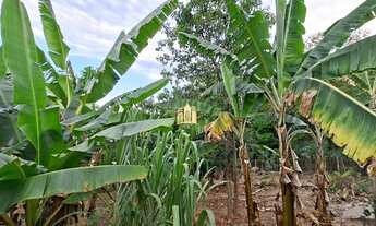 Imagem 2: Sítio Condomínio Nosso Rancho Esmeraldas ? 6.000m², Nascente, 3 Suítes Hóspedes, Casa Prin