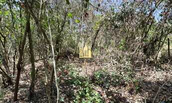 Imagem: Terreno 1.200m² Paraíso das Esmeraldas