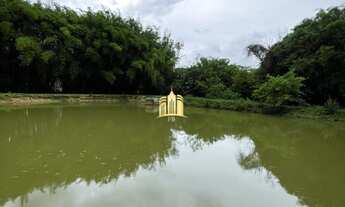 Imagem 6: SITIO A VENDA VALE BOM JESUS ESMERALDAS/MG