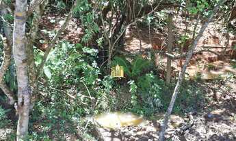 Imagem 4: FAZENDA A VENDA COQUEIROS ESMERALDAS/ME