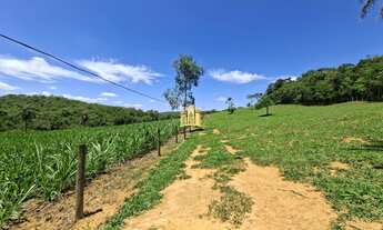Imagem 3: FAZENDA A VENDA COQUEIROS ESMERALDAS/ME