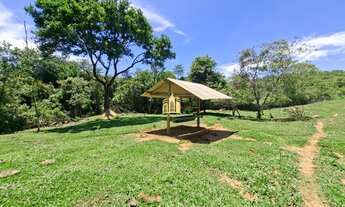 Imagem 7: FAZENDA A VENDA COQUEIROS ESMERALDAS/ME