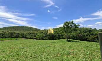 Imagem: FAZENDA A VENDA COQUEIROS ESMERALDAS/ME