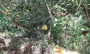 Imagem 6: FAZENDA A VENDA COQUEIROS ESMERALDAS/ME