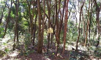 Imagem 4: Terreno à Venda no Condomínio Nossa Fazenda em Esmeraldas - 5.000 m²