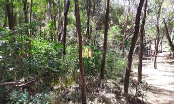 Imagem 4: Terreno à Venda no Condomínio Nossa Fazenda em Esmeraldas - 5.000 m²
