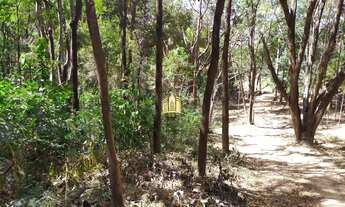 Imagem 5: Terreno à Venda no Condomínio Nossa Fazenda em Esmeraldas - 5.000 m²