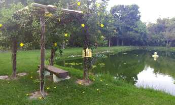 Imagem 2: Sitio em Boa Vista - Esmeraldas