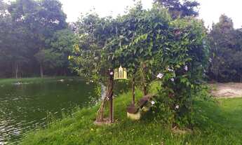 Imagem 3: Sitio em Boa Vista - Esmeraldas