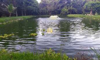 Imagem 4: Sitio em Boa Vista - Esmeraldas