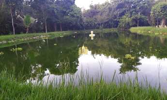 Imagem 5: Sitio em Boa Vista - Esmeraldas