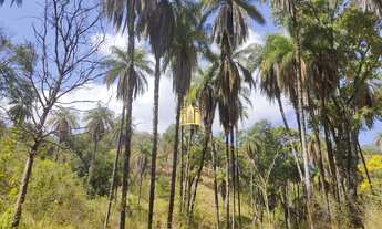 Imagem: Fazendinha em Jaboticatubas