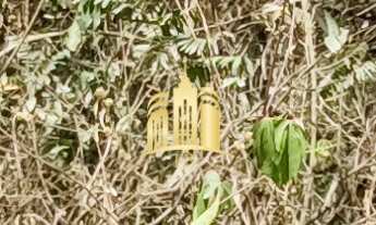 Imagem: Fazendinha em Esmeraldas