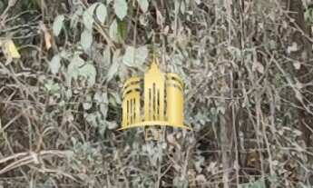 Imagem 4: Fazendinha em Esmeraldas