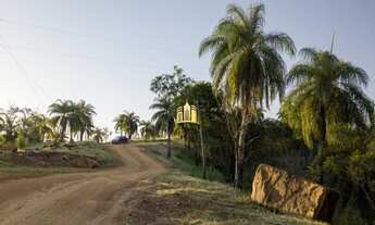 Imagem 6: Fazendinha em Sete Lagoas