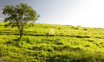 Imagem 7: Fazendinha em Sete Lagoas