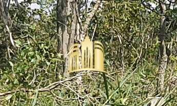 Imagem: Terreno à venda em Esmeraldas-MG, Boa Vista