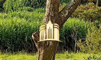 Imagem 2: Excelente Oportunidade de Investimento: Terreno à Venda em Esmeraldas-MG, Bairro Novo Reti