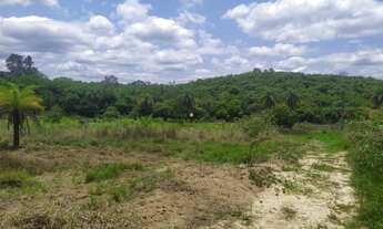 Imagem: Fazendinha em Esmeraldas