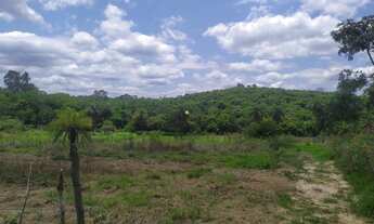 Imagem 3: Fazendinha em Esmeraldas