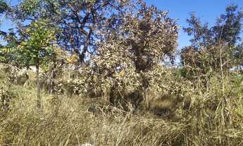 Imagem 6: Terreno à venda em Esmeraldas-MG, Dumaville, 360m² de área!