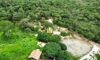 Imagem: Fazenda Comercial à Venda em Três Marias-MG