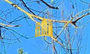 Imagem 5: Terreno à venda em Esmeraldas-MG, Paraiso das Esmeraldas - 1.005m² de área!