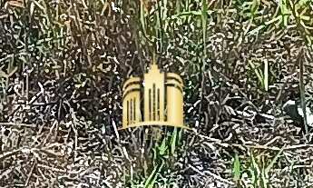 Imagem 7: Terreno à venda em Esmeraldas-MG, Bairro Bandeirantes 528m² de área