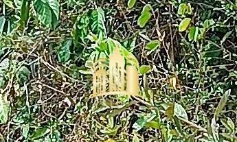 Imagem: Terreno à venda em Esmeraldas-MG, Nova