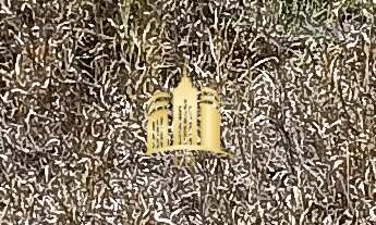 Imagem: Terreno à venda em Esmeraldas-MG, Bairro