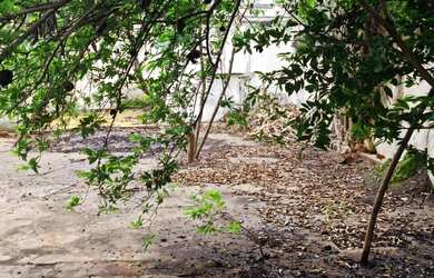 Imagem 7: Aluga-se Casa Comercial-Curvelo-MG