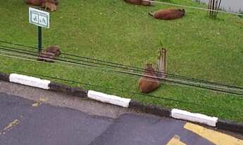 Imagem 5: CASA EM CONDOMÍNIO FECHADO NO ARUJÁ, 05 SUÍTES, 14 VAGAS ! ! !