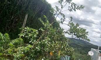 Imagem 6: CHÁCARA A VENDA EM MAIRINQUE, 4.500M² !!